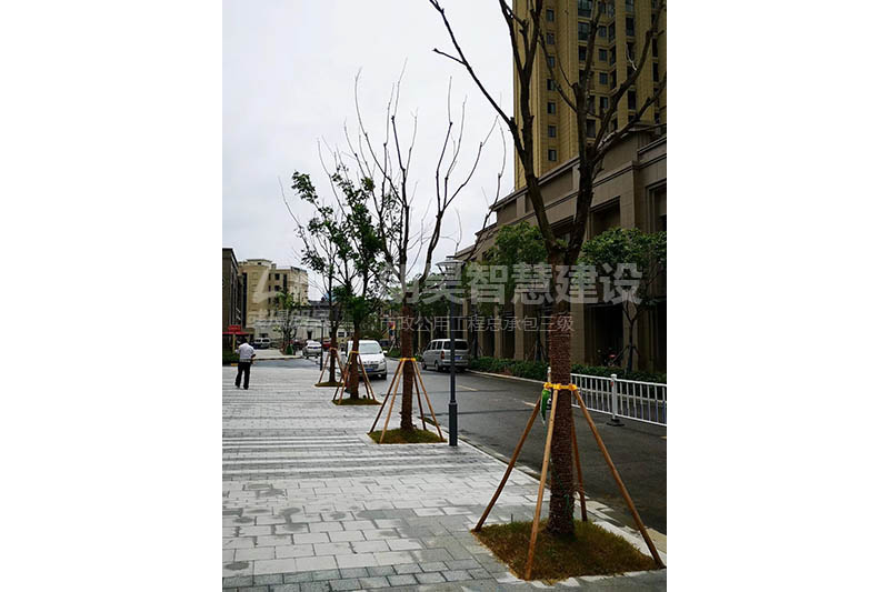 苏州.世茂九溪墅